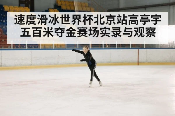 速度滑冰世界杯北京站高亭宇五百米夺金赛场实录与观察